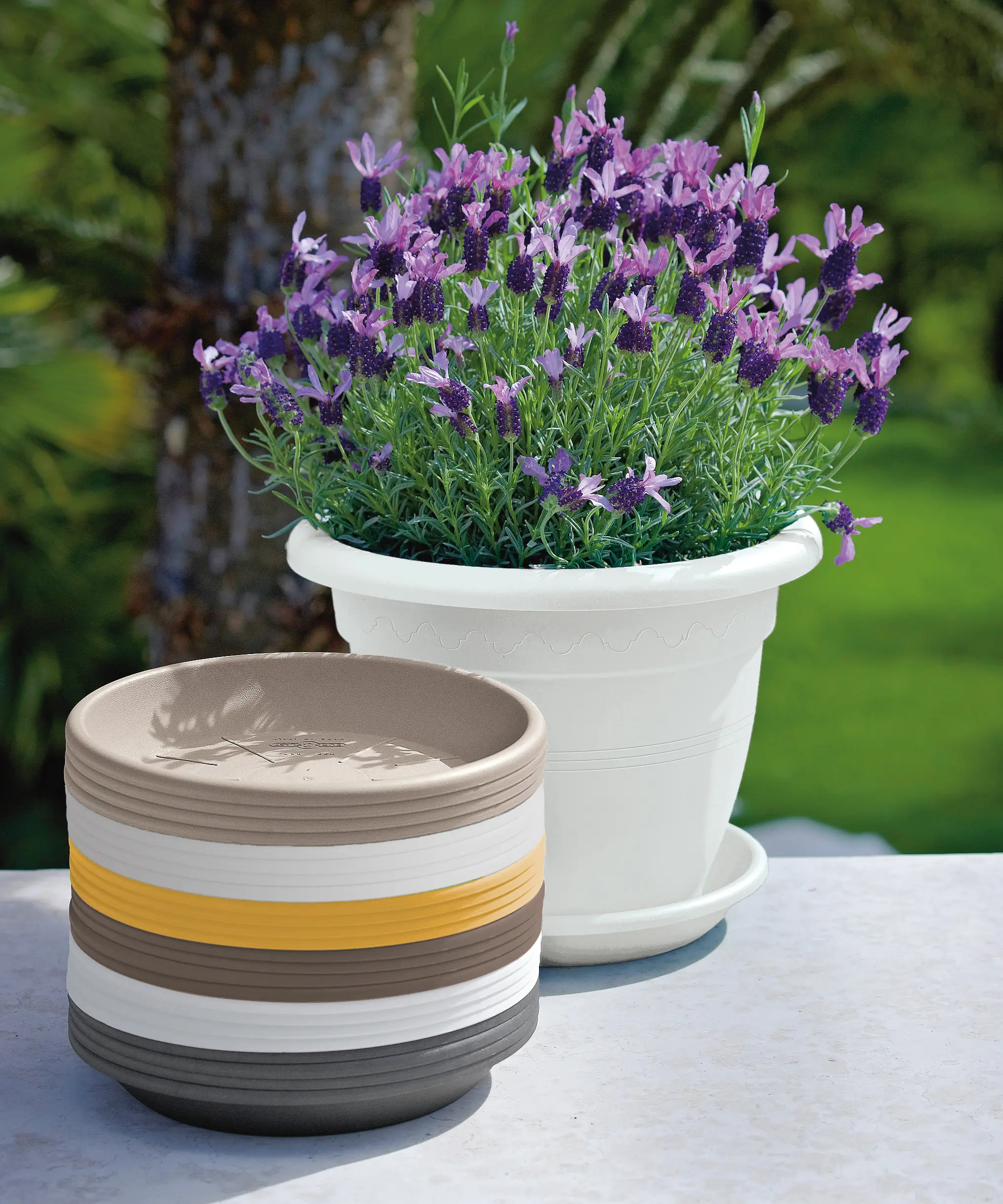 Untersetzer – pflanzentopf.at