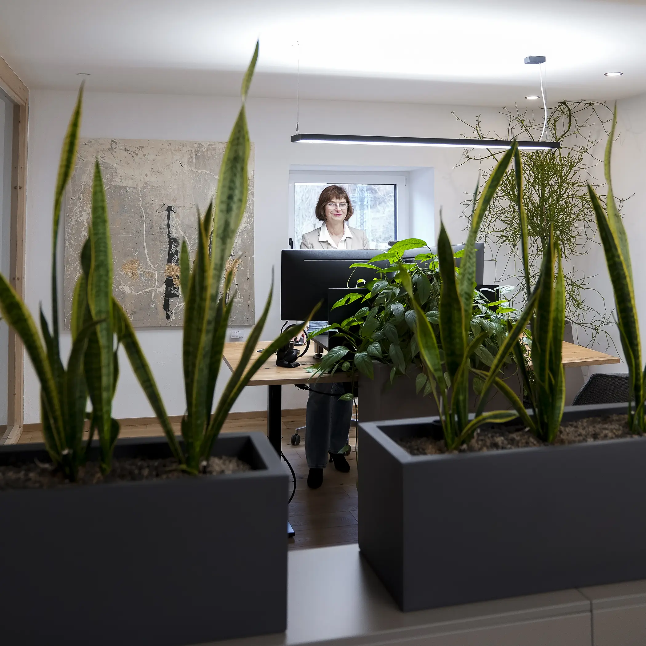 Bürobegrünung