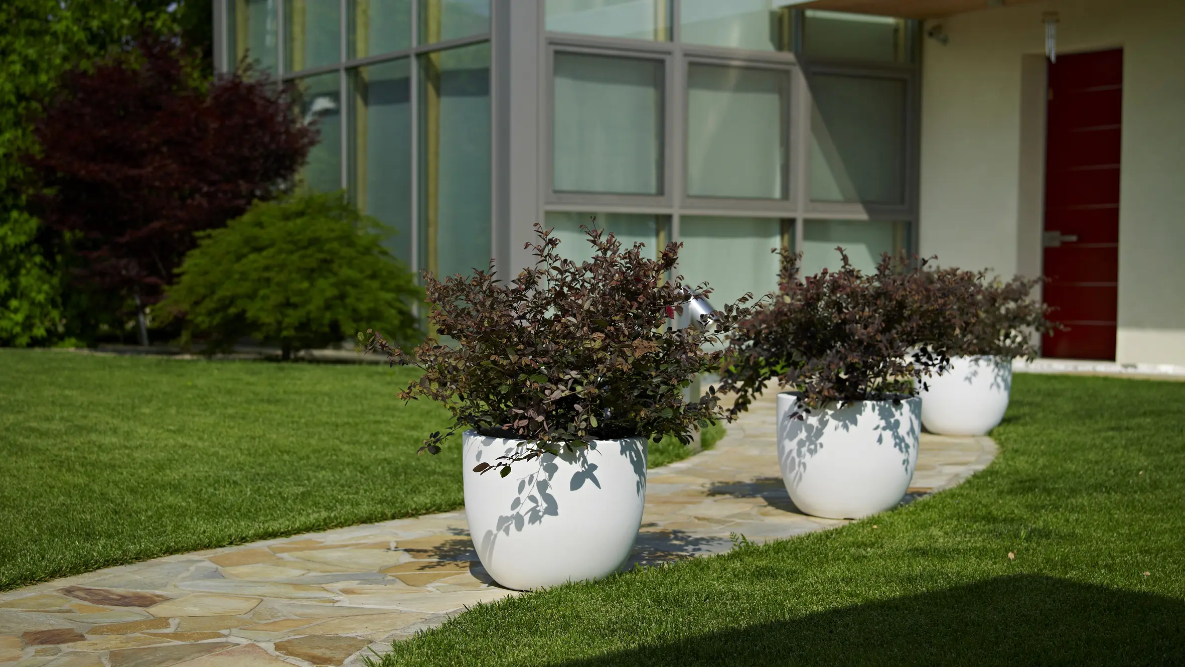 XXL Pflanzkübel – pflanzentopf.at