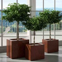 KUBE GLOSS KUBE GLOSS