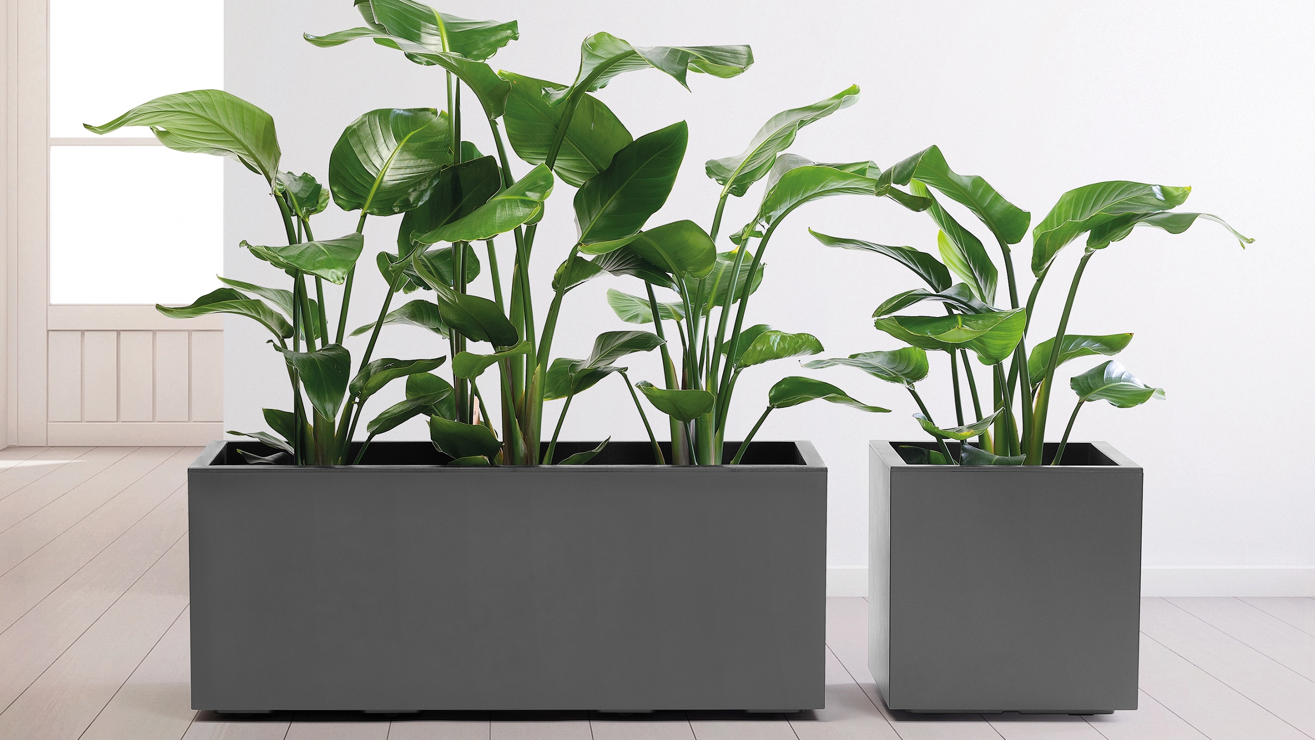 KEBE ECO Pflanzkasten Anthrazit KEB ECO Pflanzkasten Anthrazit rechteckig und quadratisch