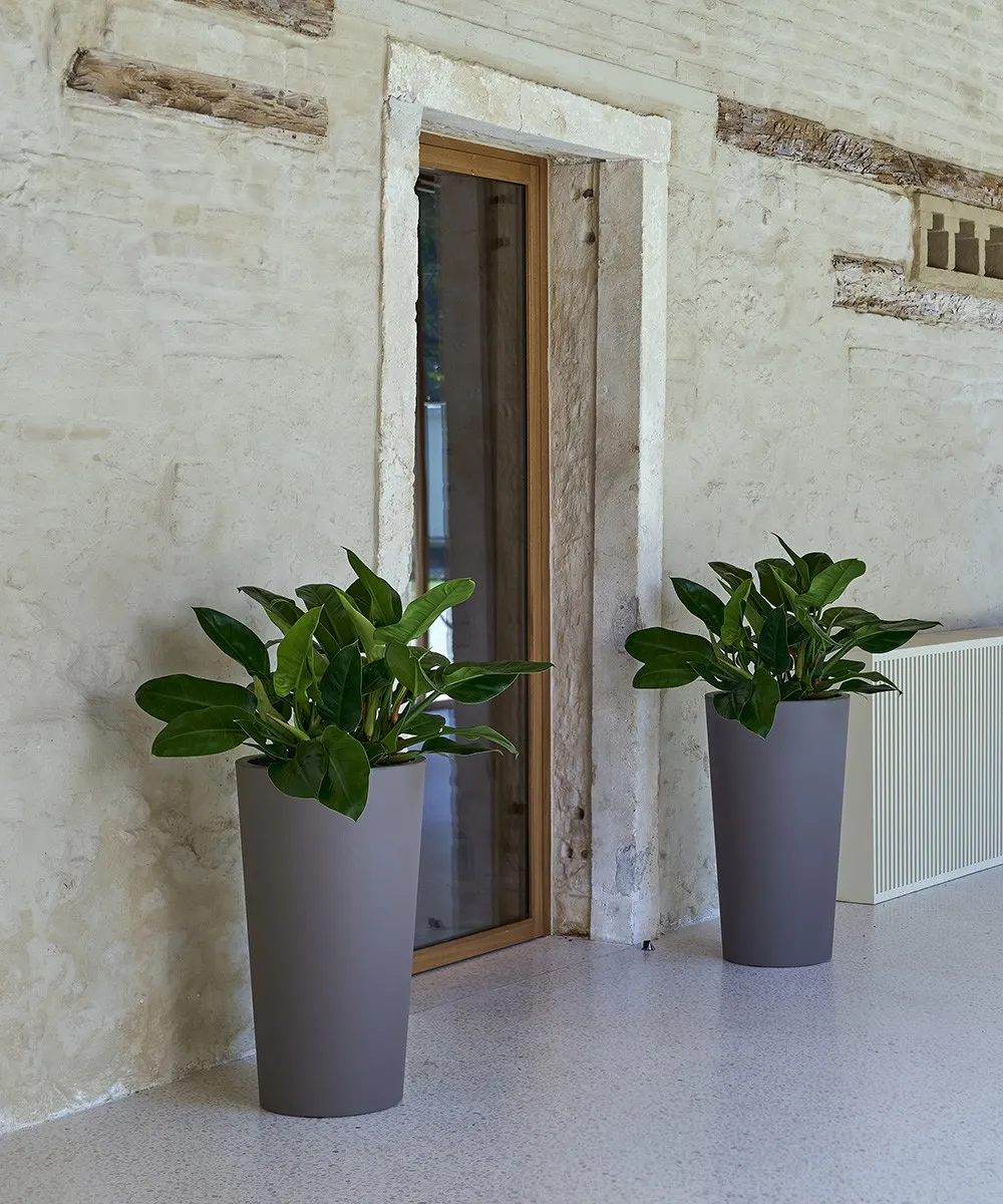 Pflanztrog – Outdoor