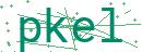Fehler beim Laden des Captchas