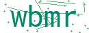 Fehler beim Laden des Captchas