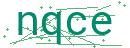 Fehler beim Laden des Captchas