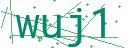 Fehler beim Laden des Captchas