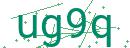 Fehler beim Laden des Captchas