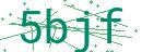 Fehler beim Laden des Captchas