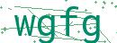Fehler beim Laden des Captchas