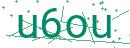 Fehler beim Laden des Captchas