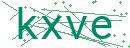 Fehler beim Laden des Captchas