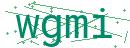 Fehler beim Laden des Captchas