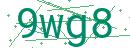 Fehler beim Laden des Captchas