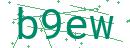 Fehler beim Laden des Captchas