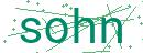 Fehler beim Laden des Captchas