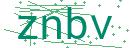 Fehler beim Laden des Captchas